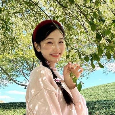 大象家族